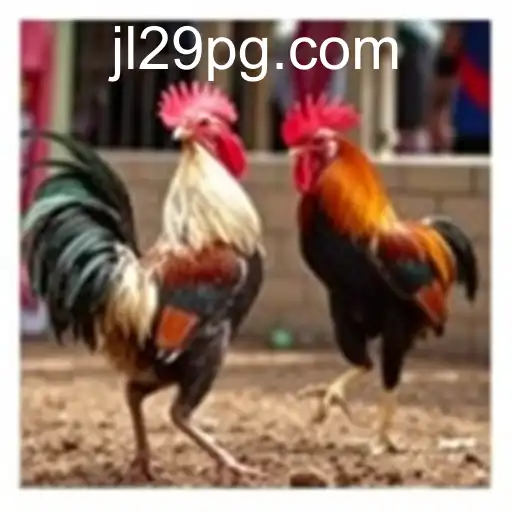 The Fascination and Heritage of Sabong Games: Exploring JL29